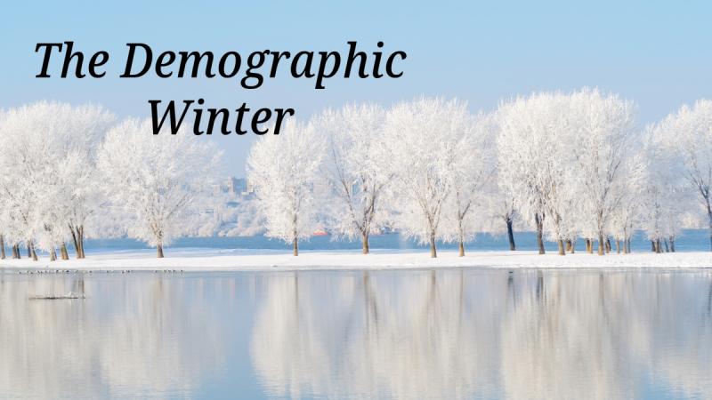 The Demographic Winter